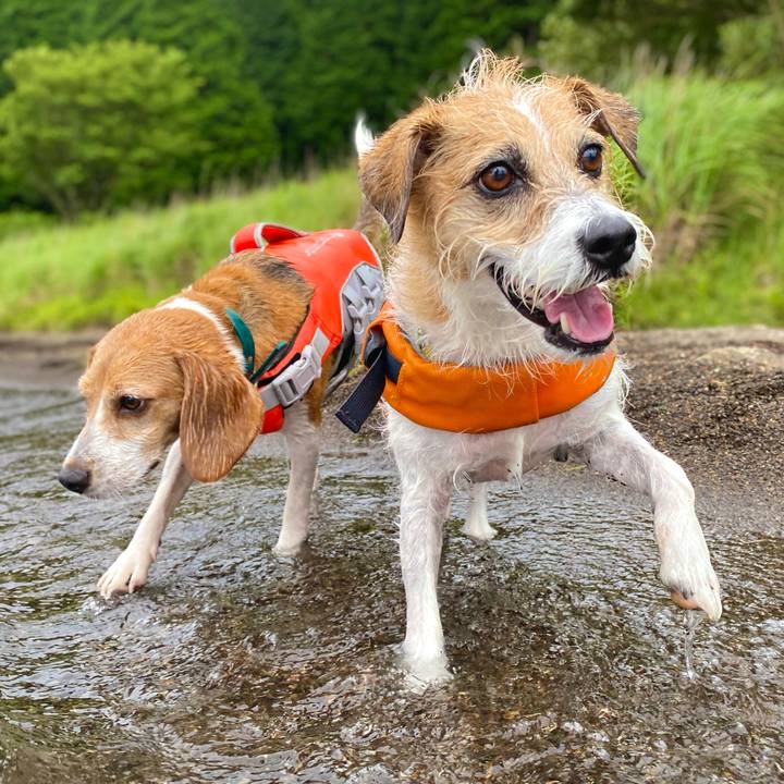 F4979a8e 7fe9 4ca8 a9e7 523516626fa8 1693136370091