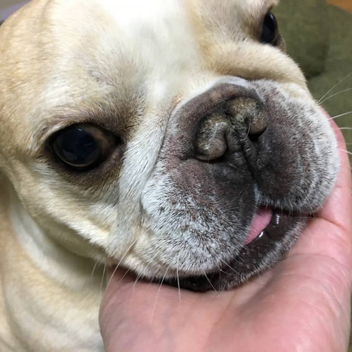 F497de9f a833 44d4 8e06 31167e7363bb 1511095242155