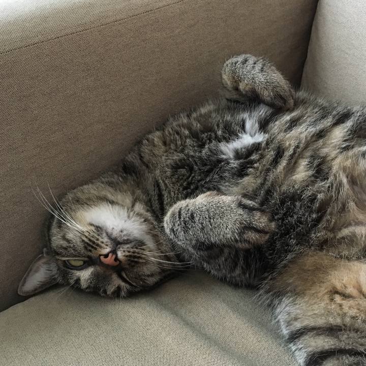 F4982743 cbce 45d0 bb83 91f4cc093137 1560656397626