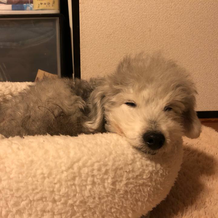 F49835bb 5401 4663 a4bf e164aa7fd45d 1581516007842