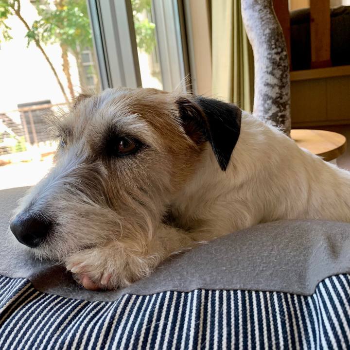 F4983d20 8f6b 4dd7 8eab e16d79f49971 1683259629868