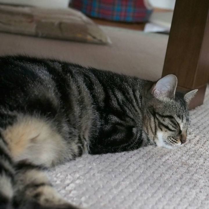 F4983f50 3c7f 4a21 af82 bb958da99a76 1528633507624