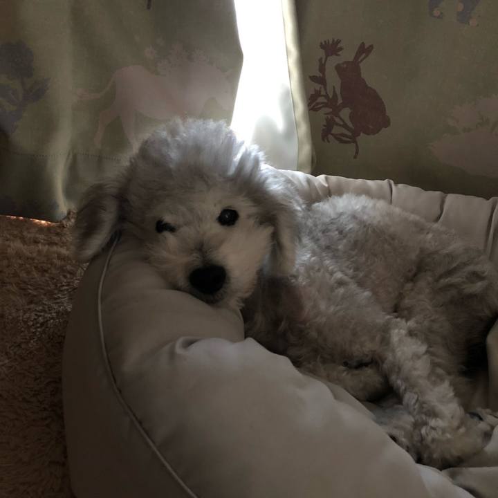 F4984495 65ca 48ce 846a fdb265b2712d 1622863365261