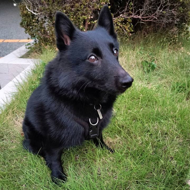 F4986150 c8a1 4c7a b727 58c7e4ddb63c 1695678487192