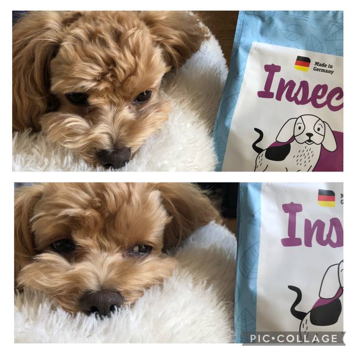 F4987243 0eed 43d2 a677 0d152e62db7c 1635557370201