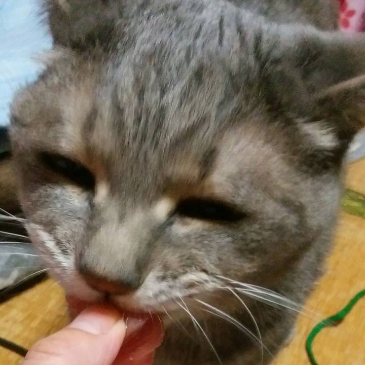 F498af8d bff5 48e6 a591 e74fcce6f670 1585403379106