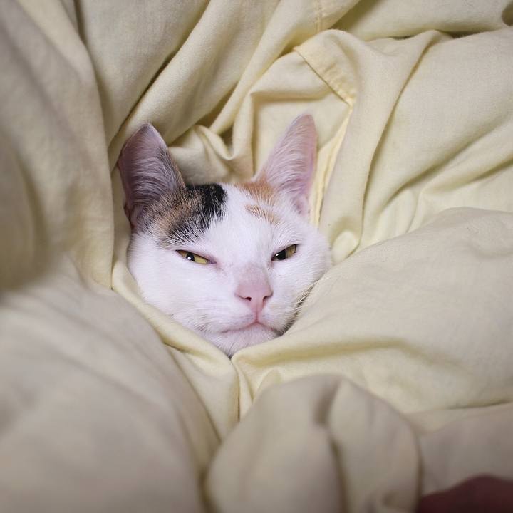 F498b1fe ca71 4816 a20e 95050fd342a2 1549669973842