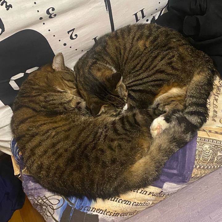 F498c449 286d 4fc7 b261 7b0ef2704f09 1666127611716