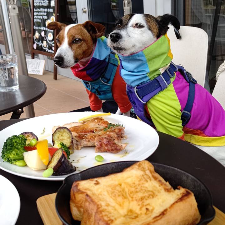 F498e80b 064c 4e06 b546 943de8cd8ee4 1651223059473