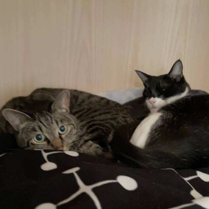 F498f3b3 bcbc 491d 8a50 617f6c8d7409 1617078659361