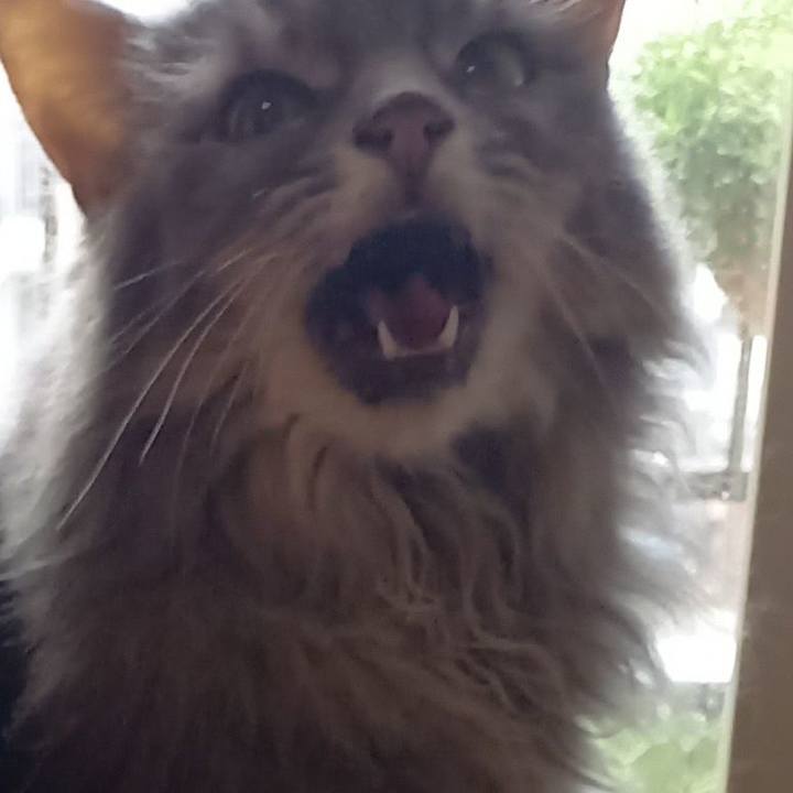 F498f784 d2dd 450e b465 e5d4e2cb7a7b 1691801519776