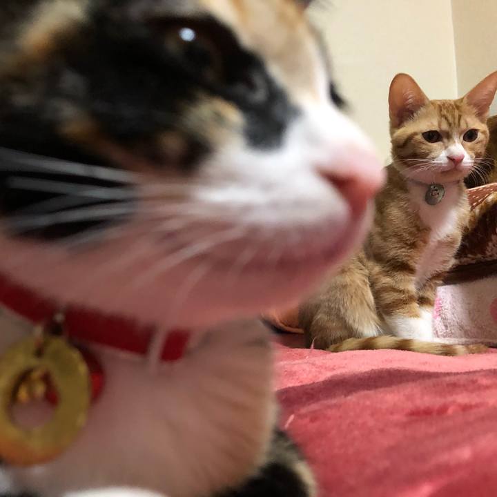 F4991e1a 2b36 437c 817b b2c6780eba89 1545654331049