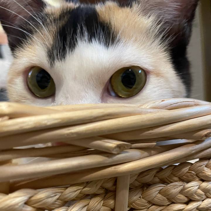 F49932e7 0631 435e 91be 9d2942d46fa6 1674117764619