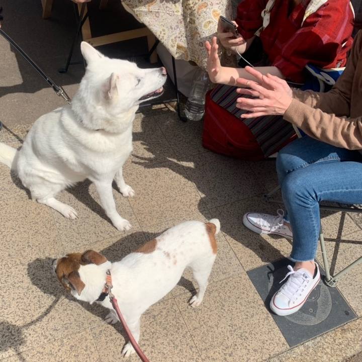 F49958e2 fc6d 49c5 8ad4 6b45167ba8c4 1558245653572