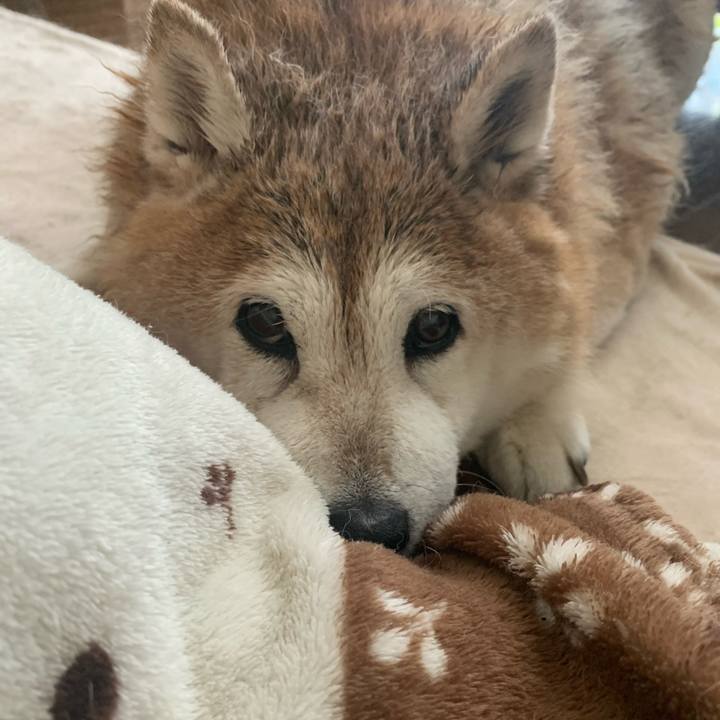 F4998b7d 3e78 4ca0 bd2a 1e0965fe24c9 1613874806256