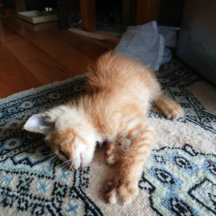 F4999bb3 d423 441e 8fb5 199908ca5533 1627260184740