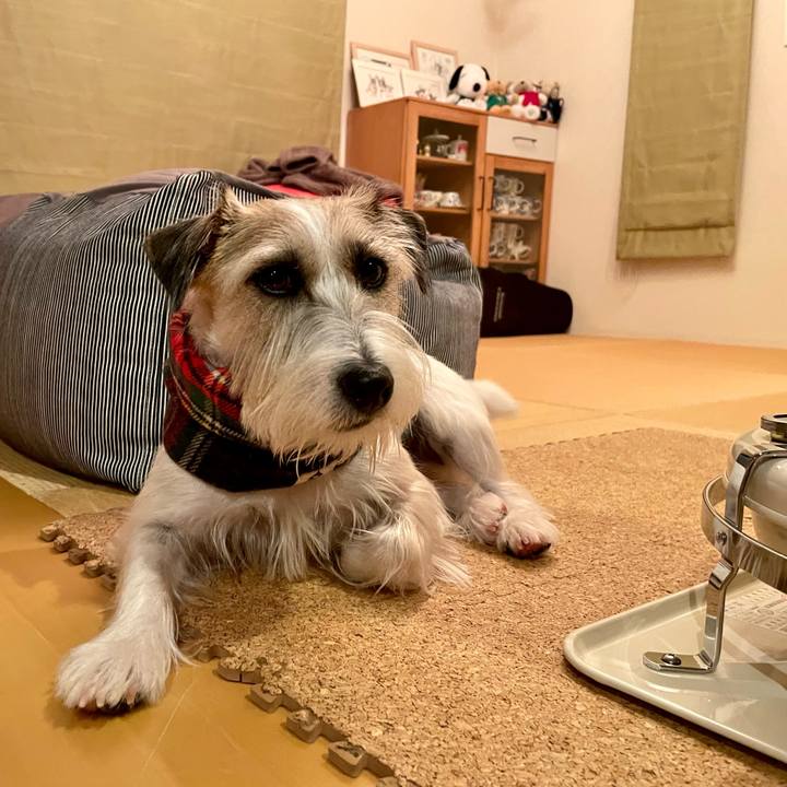 F49a254f 08de 48d1 8bb5 2a20cd9221b3 1668943100317