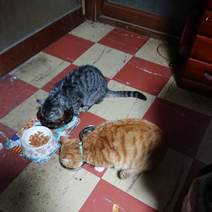 F49a286b 014e 42bd afd1 23df8e1595df 1583957167708