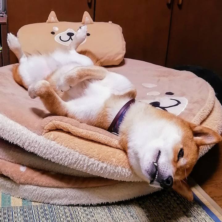 F49a2923 4f45 4905 a82c ed2bf74e479d 1592148203953