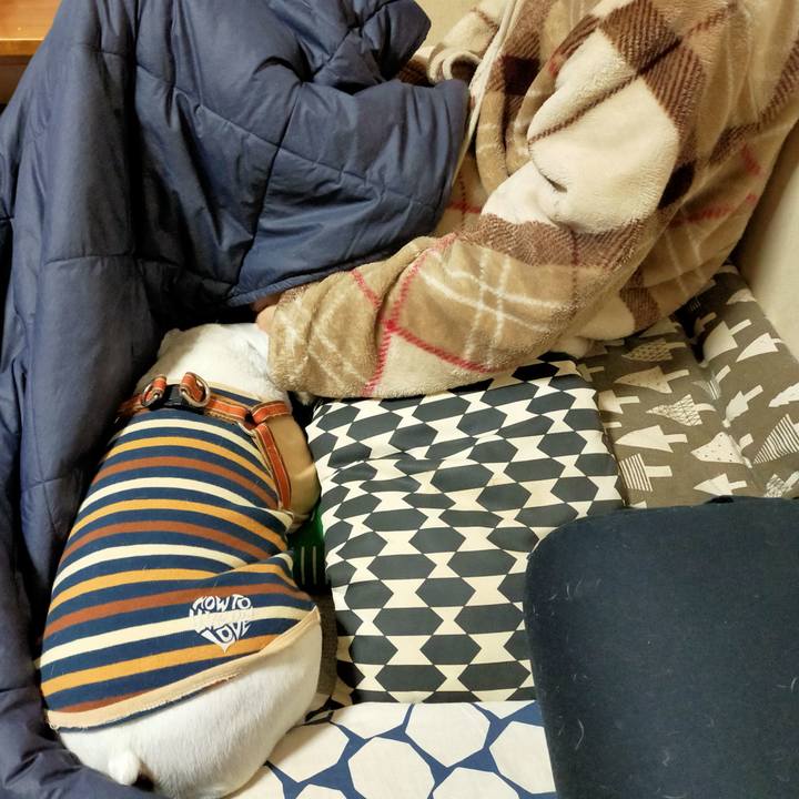 F49a2b6c e1a1 4ada 84a6 e963ea5368e9 1639698100794