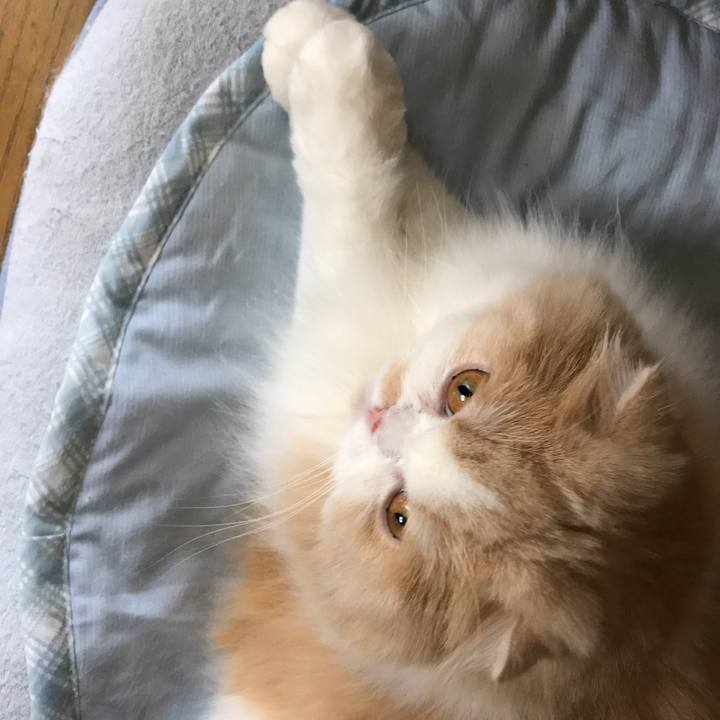 F49a3ef8 7cd2 46b3 add1 ec273eb77ac9 1531735970484