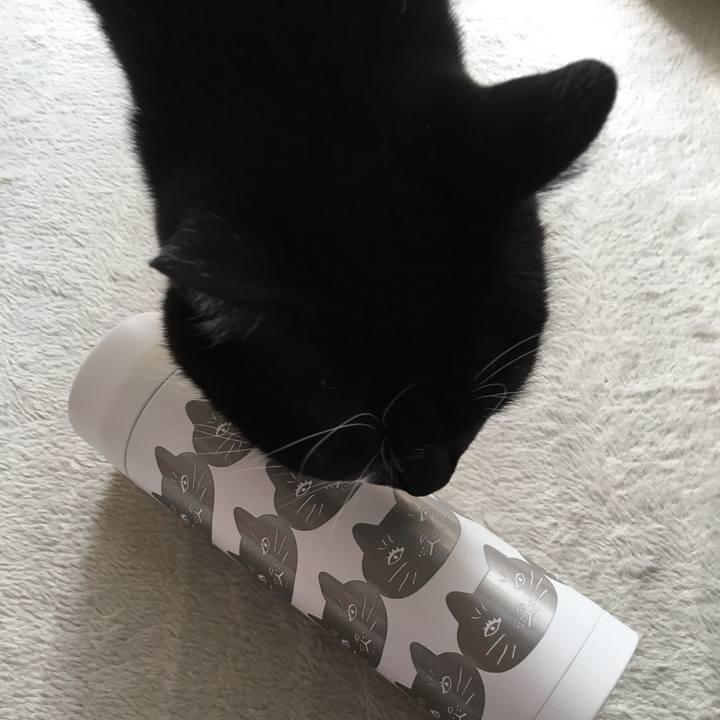 F49a55c5 d8b6 4d5e 8eb9 8a75719d3d67 1541655525248