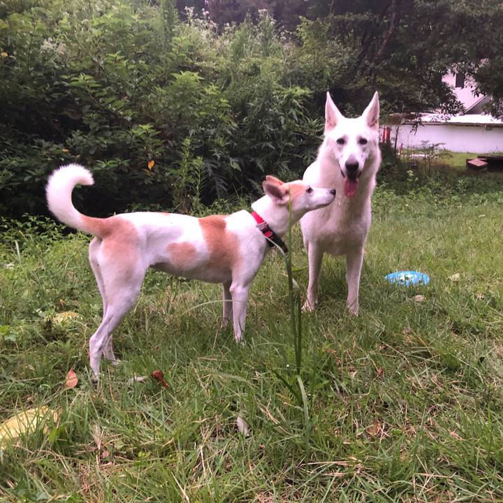 F49a7e5b 4d7d 4c30 8f73 82034947d8f3 1599143009755