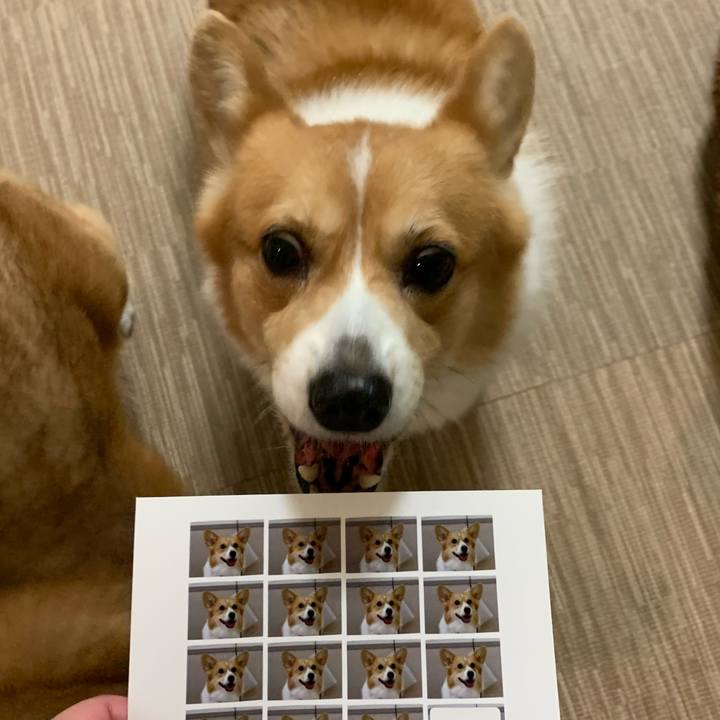 F49a9589 a9b9 4a8d 8390 70d2afed8714 1602210727479