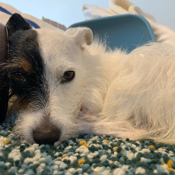 F49ada8d dbf4 4613 be7c a9c5df286a42 1599720022076