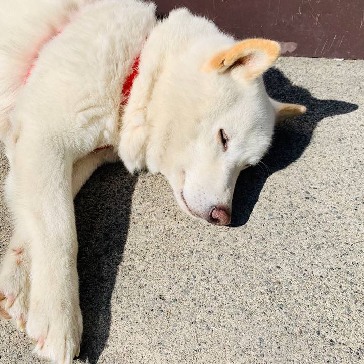 F49ae05f 6aa3 4a61 8da3 2272360e93aa 1585892495943