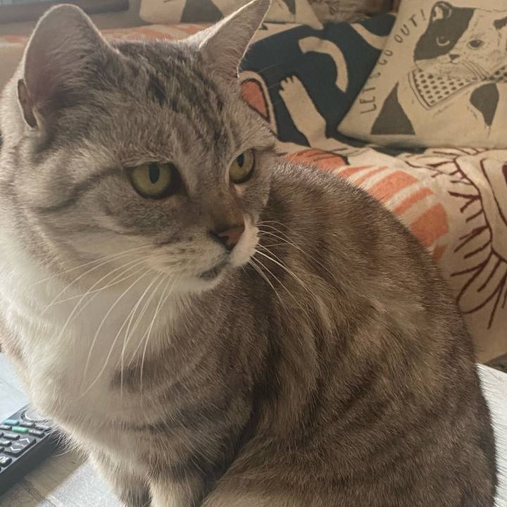 F49af7ec 62e6 47b2 90ff 837da19bc95e 1742451925440