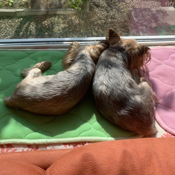 F49b00b6 ba38 4e56 bb9d eb355bc92676 1626254288724