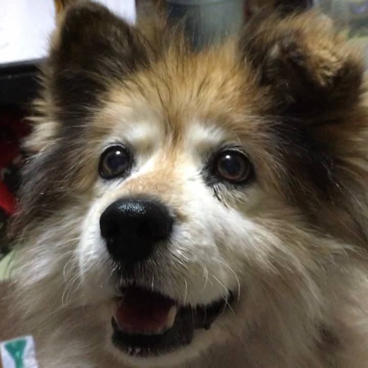 F49b371e 167a 45bb a91d 6e979ab0ed3d 1587391611123