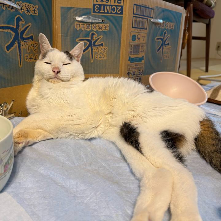 F49b428b 88c7 4540 88d4 a223c5f22b61 1763509875243