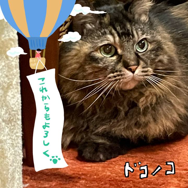 F49b5af7 a949 45c8 acb6 da711384efb3 1685976362533