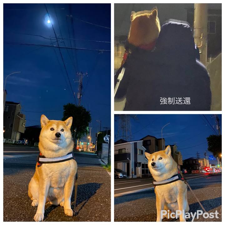 F49b5d15 9c84 4147 b3b6 1b949b2512ae 1670679553000