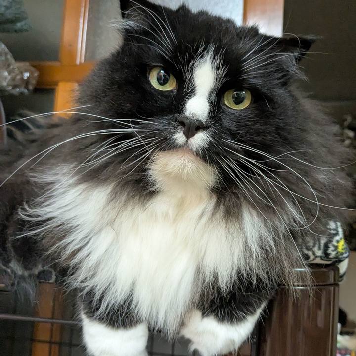 F49b9077 e475 4101 8ac5 20bbdea79be6 1754259637165