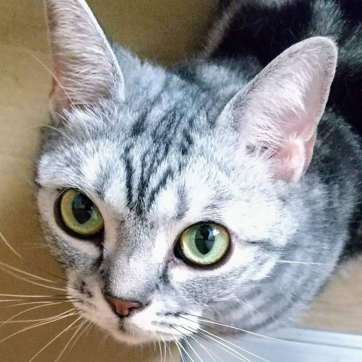 F49b94b7 856e 450e 866f 4b8f804b96f8 1689847119029