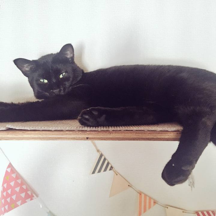 F49bb10a 4143 445a 96df 988ccc16c17a 1529713400476