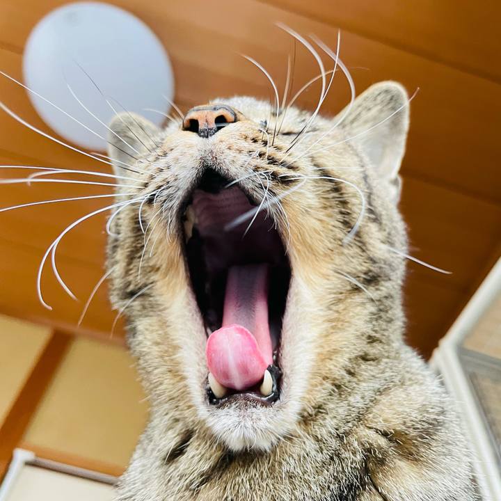 F49bf237 36c8 49ad abe9 b46e039cb5ca 1609552287635