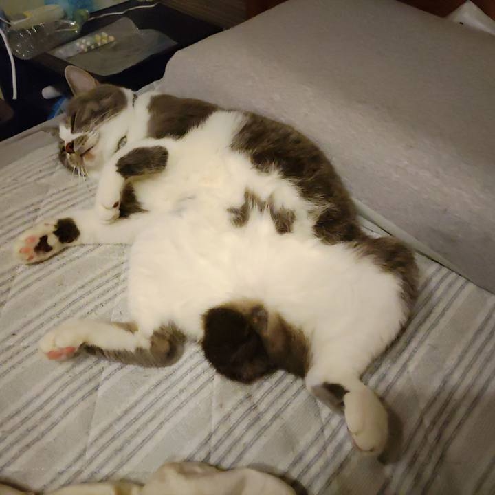 F49c1038 8584 42db 8ec0 672ef119b2d0 1717887414380