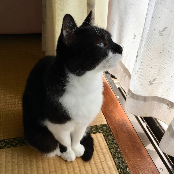 F49c2e9d 2584 44d4 95ac 1b7d6156a9a6 1566875544701