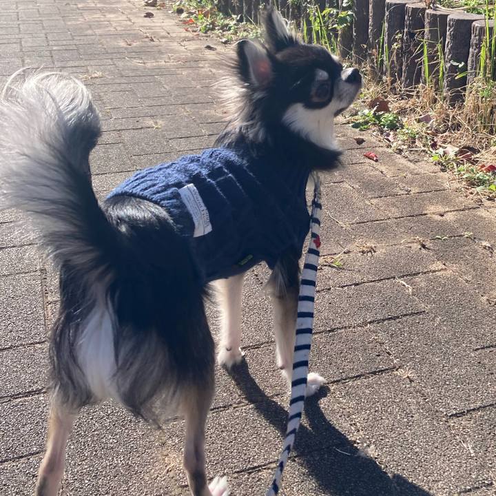 F49c6307 4864 49d3 9e06 f45fa61ab67c 1605931956558