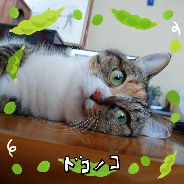 F49c8ee7 0447 438f 99b7 d0144c7a758d 1720755971161