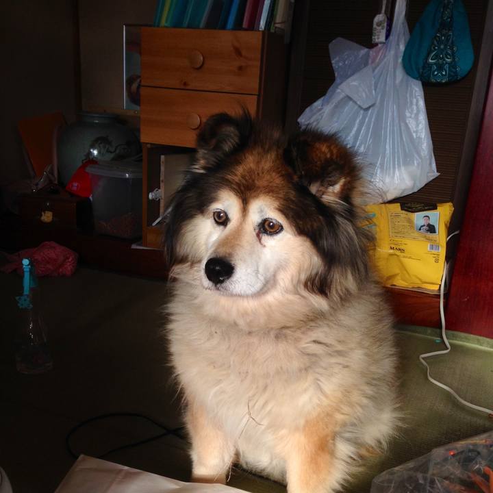 F49ca076 3f95 407f b923 ee29d463528c 1548808336563