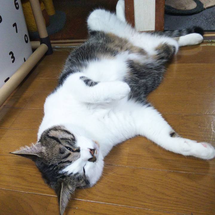 F49cb208 ca09 4de8 b495 366c3716008a 1656299567436