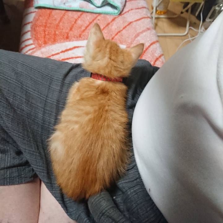 F49cc69a 38c1 4957 963b eb9f976da930 1628330568811