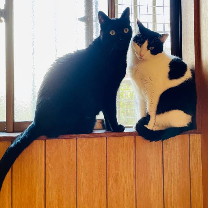 F49ccb91 16c4 4bcc 9cbb a0734155ad0a 1615429416963