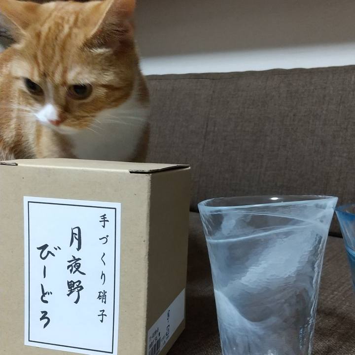 F49cded5 b40f 4ed9 a616 b09c1166e989 1631269960509