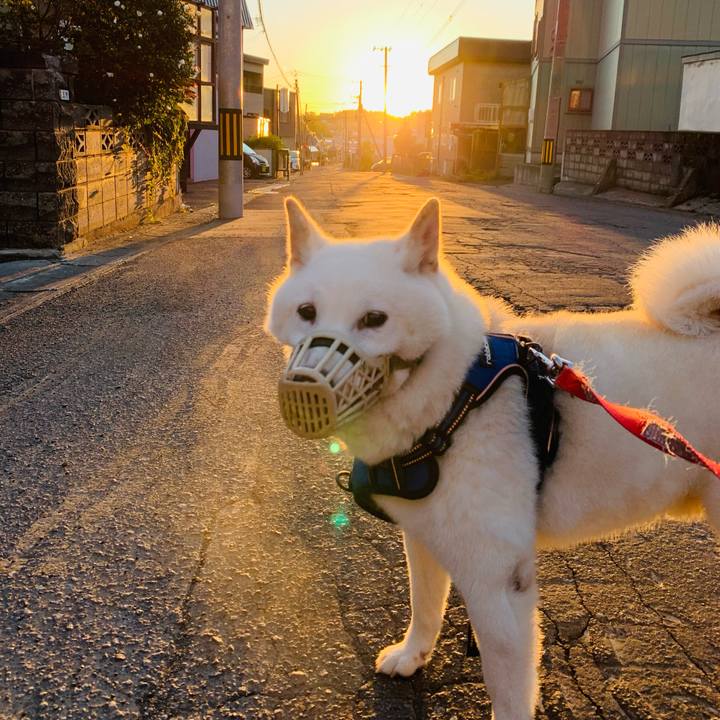 F49d16c6 ebcb 497f 9b0f 8f2980a8a6b7 1632604817749